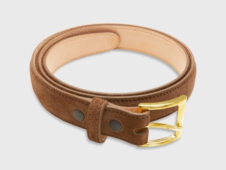 1  Belt in Tobacco Suede For Cheap