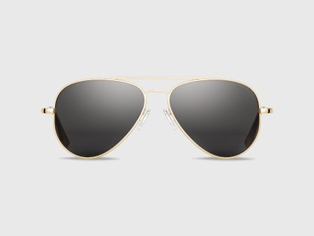 Concorde Sunglasses in 23K Gold American Gray Online Sale