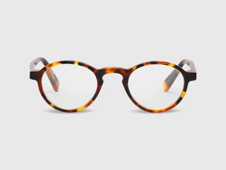 Board Stiff Reading Glasses in Tortoise For Sale